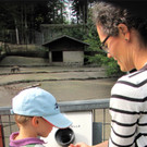 KOE_Wildpark unvernueftige Besucher 15.jpg