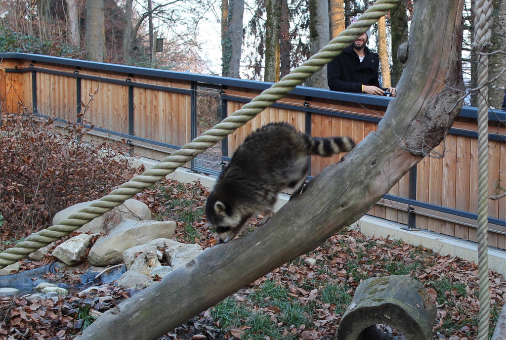 KOE_Wildpark unvernueftige Besucher 17.jpg