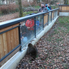 KOE_Wildpark unvernueftige Besucher 20.jpg
