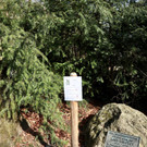 KOE_Wildpark unvernueftige Besucher 4.jpg
