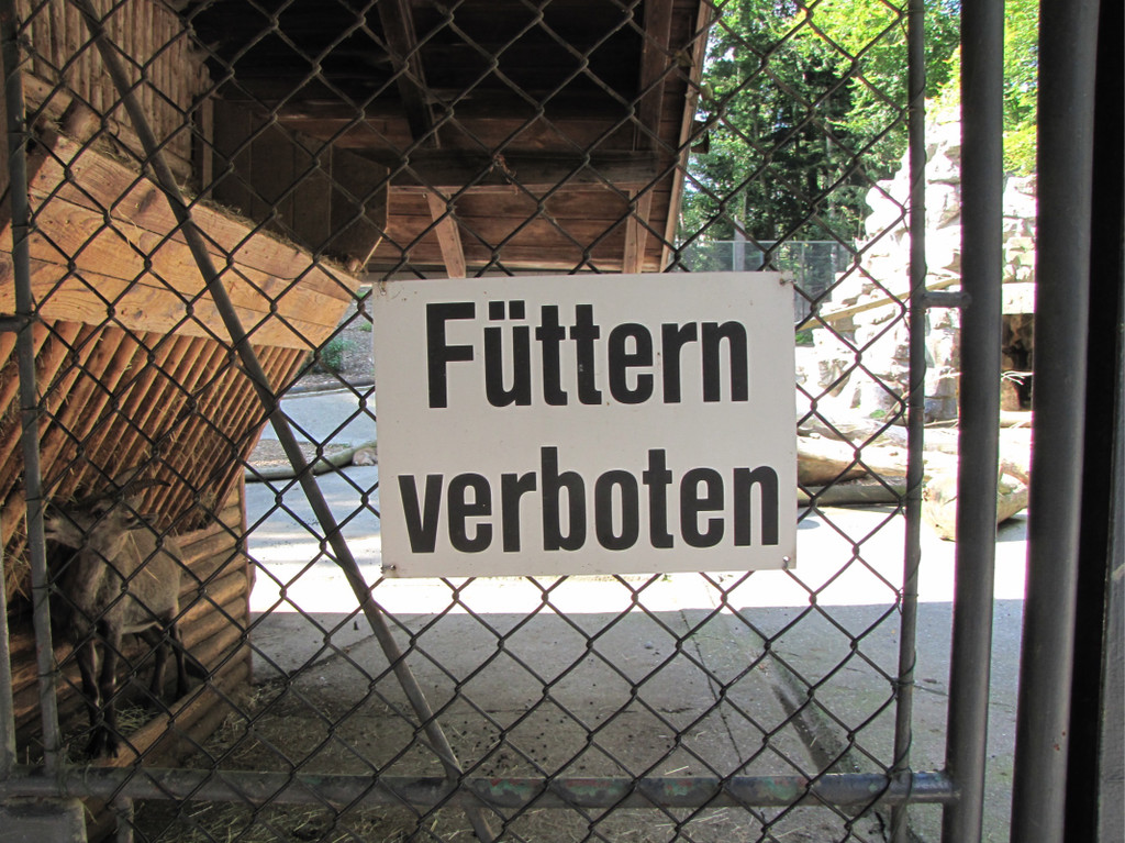 KOE_Wildpark unvernueftige Besucher 8.jpg