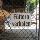 KOE_Wildpark unvernueftige Besucher 8.jpg