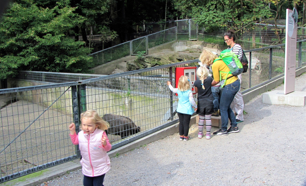 KOE_Wildpark unvernueftige Besucher 14.jpg