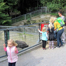 KOE_Wildpark unvernueftige Besucher 14.jpg
