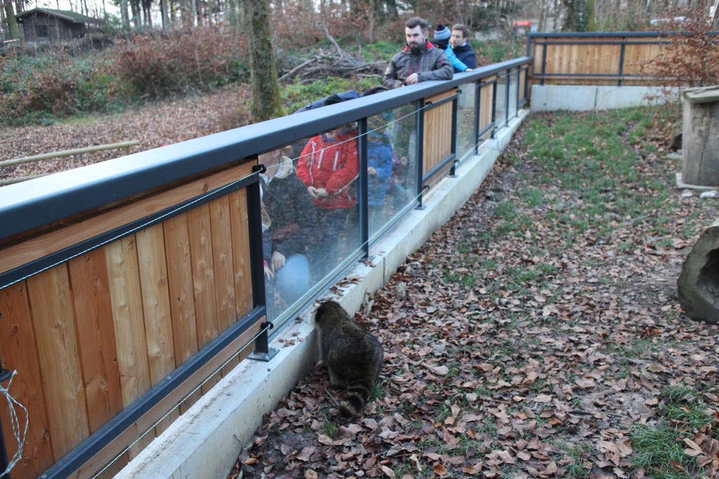 KOE_Wildpark unvernueftige Besucher 20.jpg