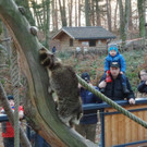 KOE_Wildpark unvernueftige Besucher 12.jpg