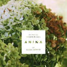 ANINA-POSTER-3.jpg