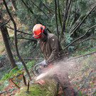 EnergieinstitutDSC_3552073.JPG