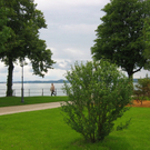 IMG_4757.JPG