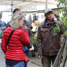 Obstbaumarkt in Feldkirch (2017)