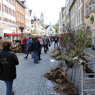 IMG_9837.JPG