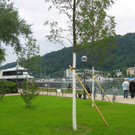IMG_4762.JPG