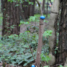 IMG_9903.JPG