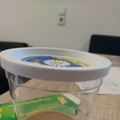 Von der Raupe zum Schmetterling im Kindergarten Übersaxen