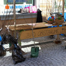 IMG_2977.jpg
