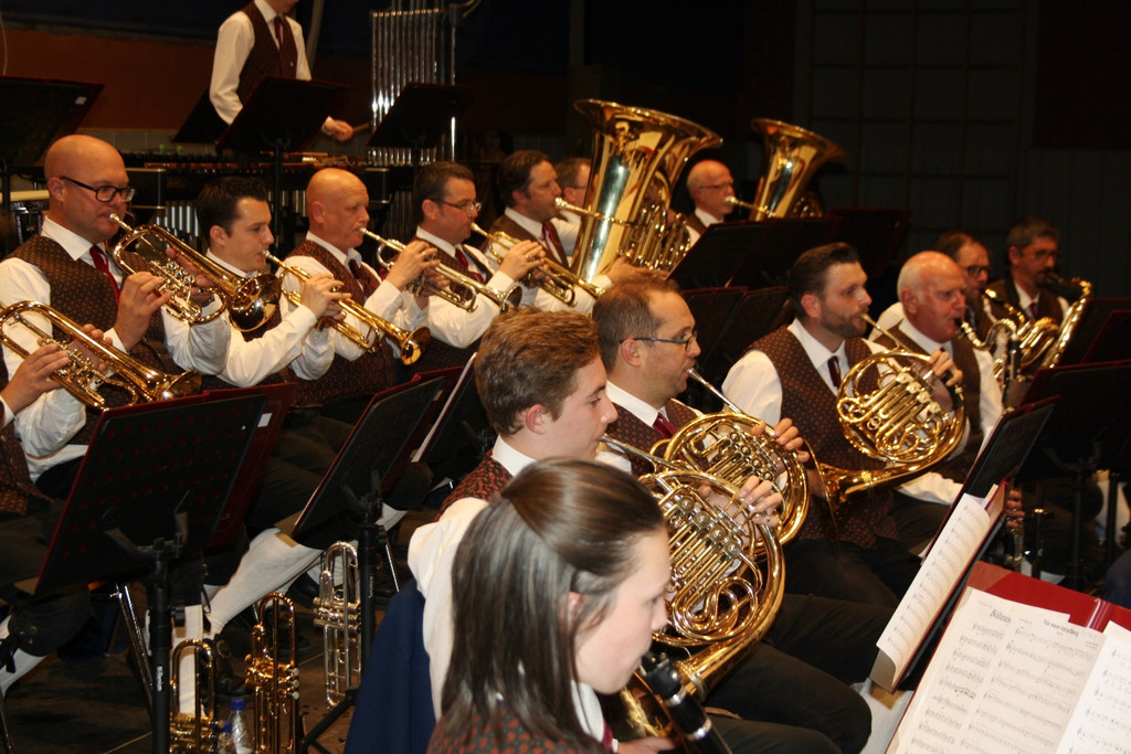 Musikverein KONZERT E Musikanten beim Spiel 22-04-2017 _10_.JPG