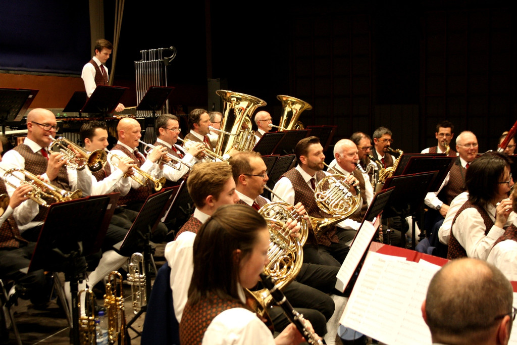 Musikverein KONZERT E Musikanten beim Spiel 22-04-2017 _11_.JPG
