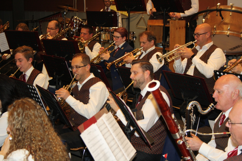 Musikverein KONZERT E Musikanten beim Spiel 22-04-2017 _16_.JPG