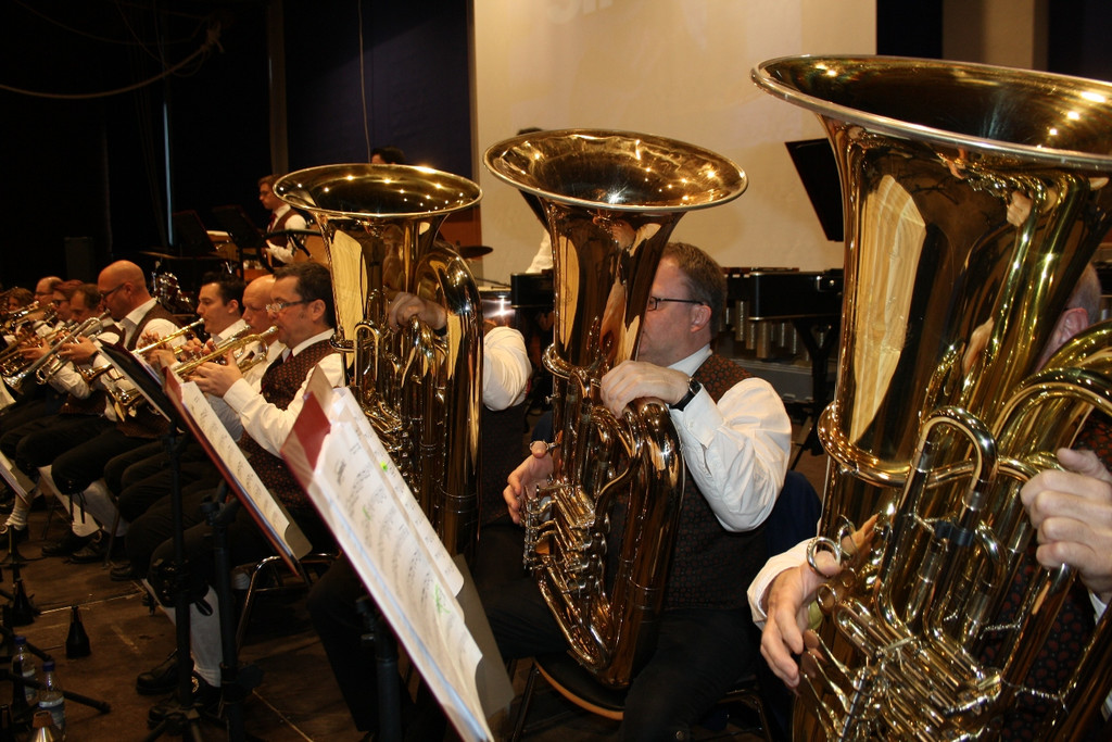 Musikverein KONZERT E Musikanten beim Spiel 22-04-2017 _14_.JPG