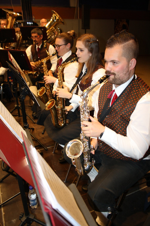 Musikverein KONZERT E Musikanten beim Spiel 22-04-2017 _18_.JPG