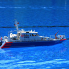 IMG_6173.jpg