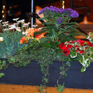 DSC_0812.JPG