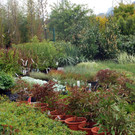 DSC_0112.JPG