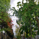 DSC_0128.JPG
