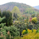 DSC_0206.JPG