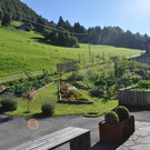 Gemeinschaftsgarten