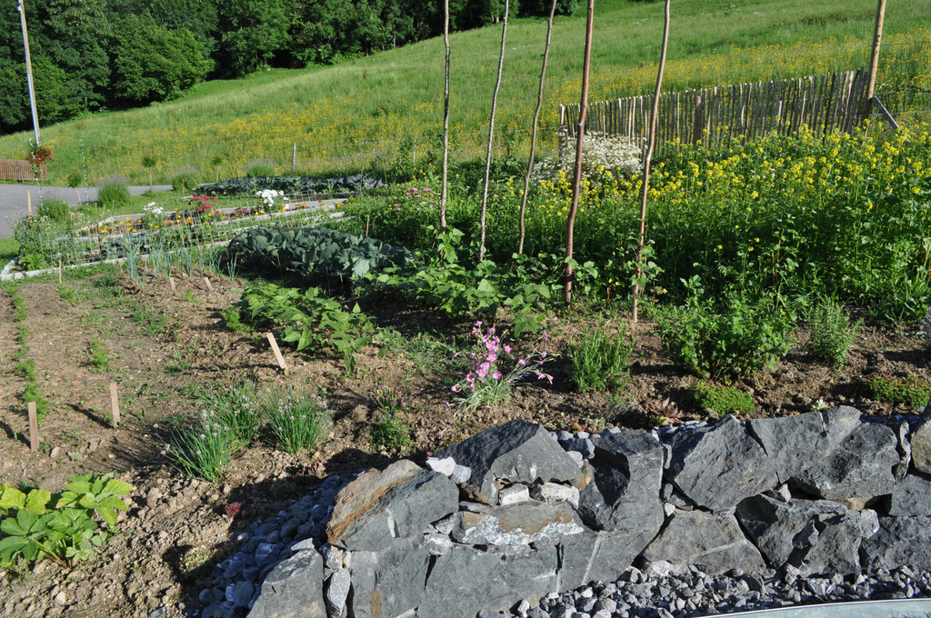 garten.JPG