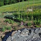 garten.JPG