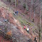 IMG_5866.JPG
