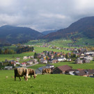 DSC02864.JPG