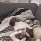 WP_20170416_13_22_30_Pro.jpg