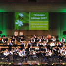 Stadtmusik Matinee 2017 __wolfgangefferl _ 36_.JPG