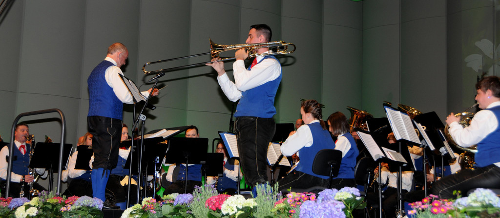 Stadtmusik Matinee 2017 __wolfgangefferl _ 76_.JPG