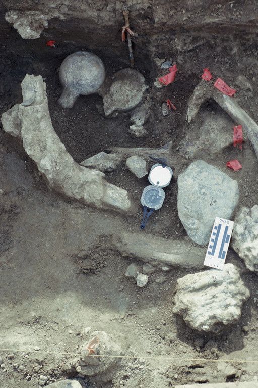 Earliest_Americans_00688.jpg