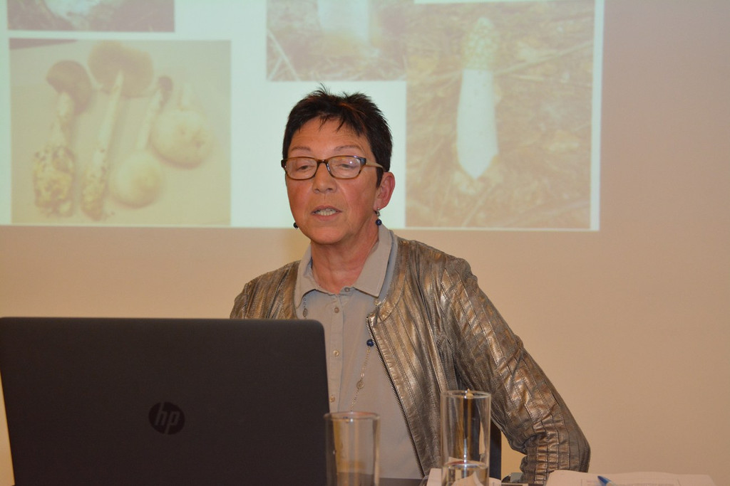 pilz.jpg