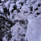 Wintereinbruch am Eichenberg