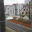 IMG_4695.JPG