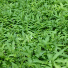 P1070201.JPG