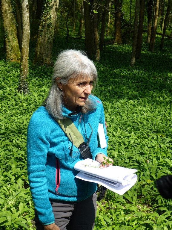 P1070211.JPG