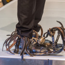 Crazy Shoe Award 2017 - Studio 44 - 27_04_2017 _109 von 168_.jpg