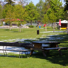 IMG_1233.jpg