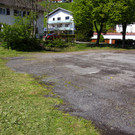 IMG_1236.jpg