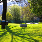 IMG_1250.jpg