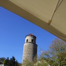 IMG_1278.jpg