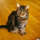 PA240425.JPG