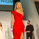 Wahl zur Miss Vienna 2017 - Millenium City - 29_04_2017 _144 von 236_.jpg